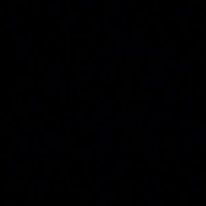 Meet your Posher, Lilly